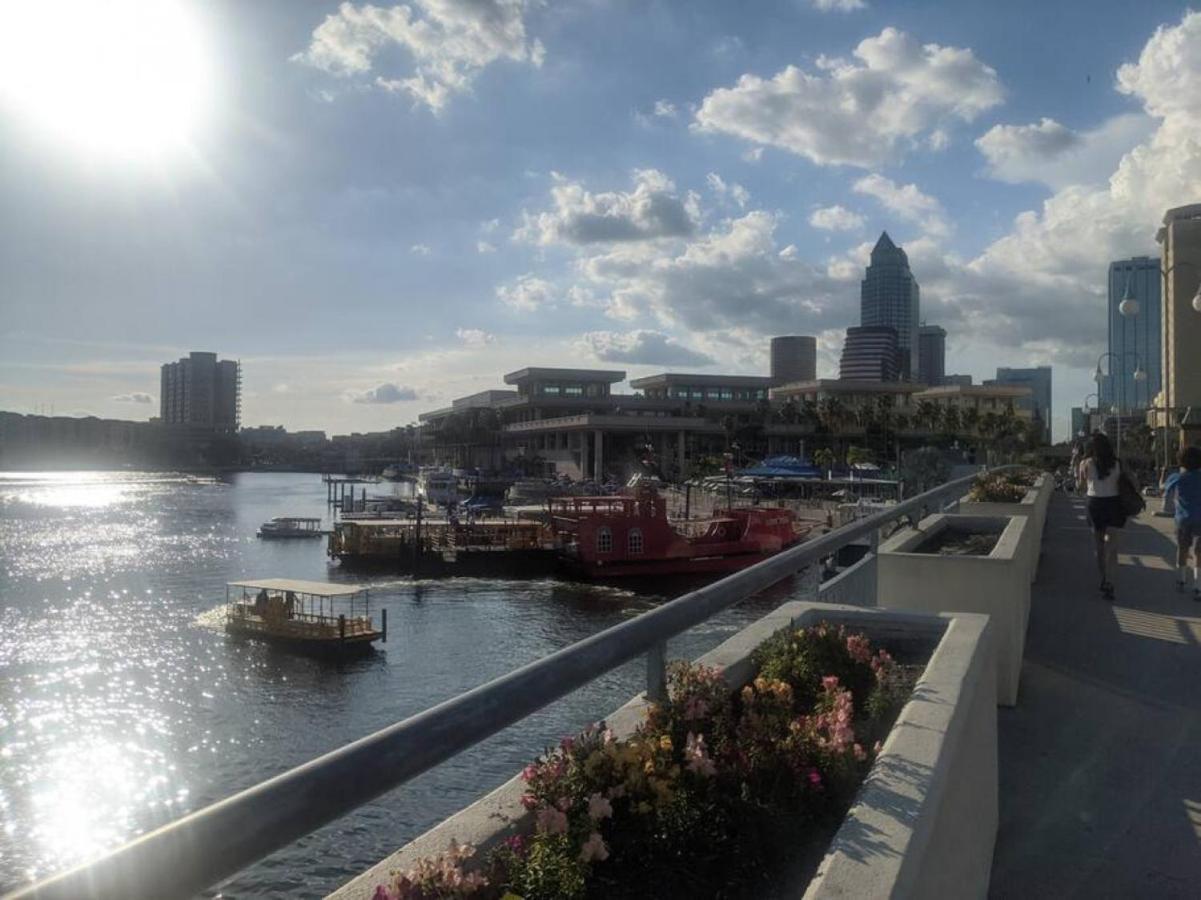 Florida Dream Vacation All New With Amenities Lutz Bagian luar foto